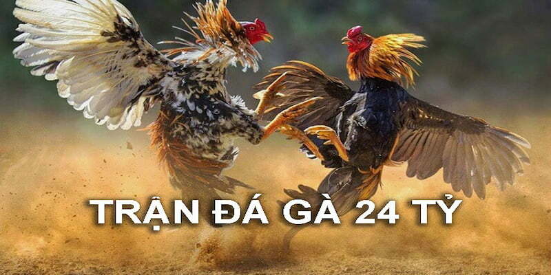 https://lpdi.io/im/storage/bai-viet-lien-quan/tran-da-ga-24-ty-1.jpg